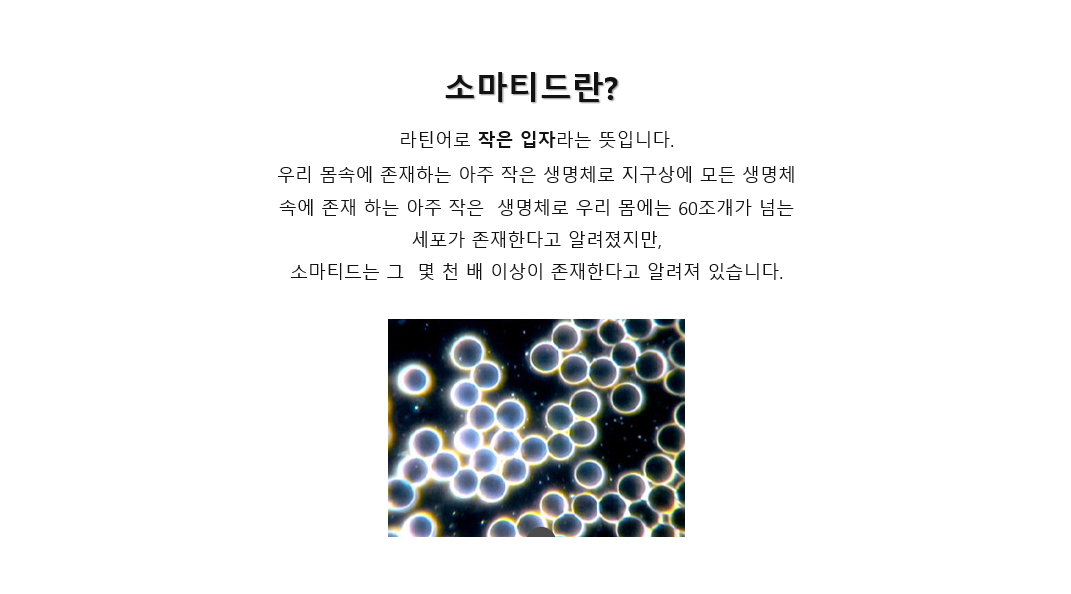 69896bf1cdbdc309d78a42f53ddbed35_1784449307_2563.png